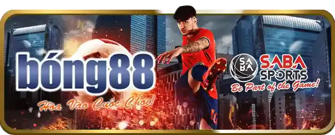 Sân đấu đá gà trực tuyến Bong8899